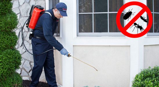 Karaisalı Böcek İlaçlama böcek ilaçlama ve haşere kontrolü — ilaclama-tr.com